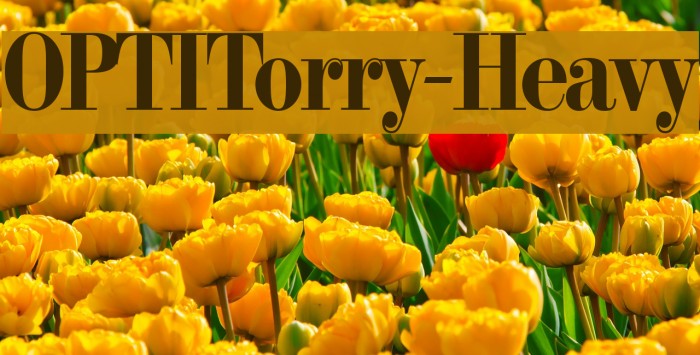 OPTITorry-Heavy Font examples
