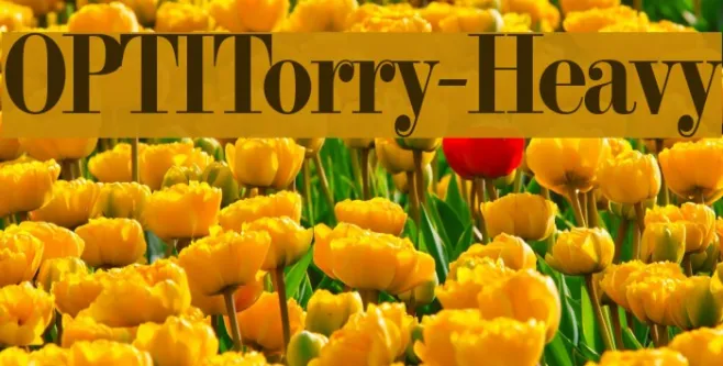 OPTITorry-Heavy Example 1