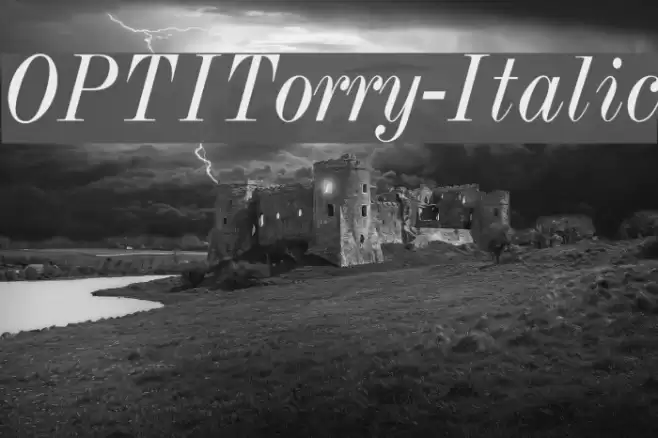 OPTITorry-Italic Fuentes examples