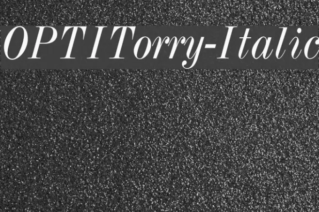 OPTITorry-Italic Fuentes examples