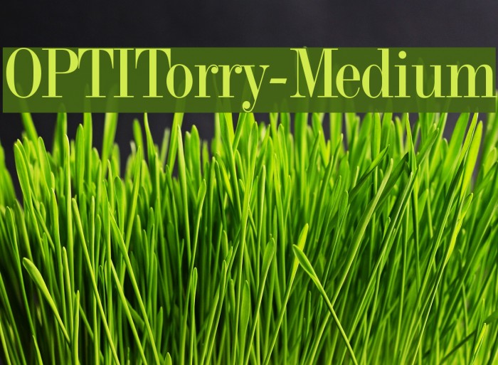 OPTITorry-Medium Font examples
