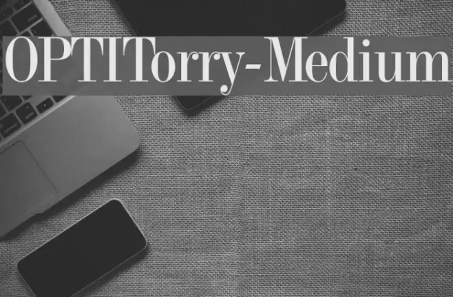 OPTITorry-Medium Font examples