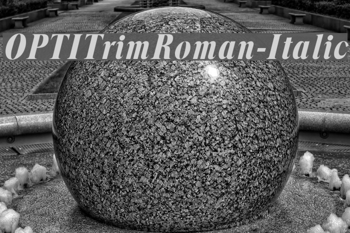 OPTITrimRoman-Italic Font examples