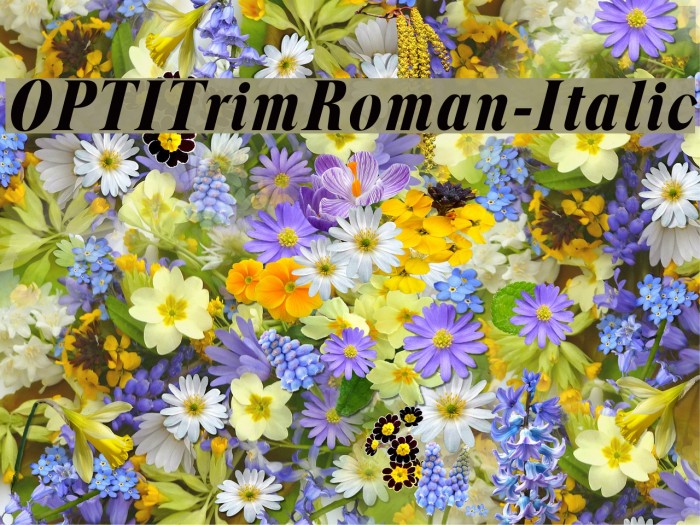 OPTITrimRoman-Italic Font examples