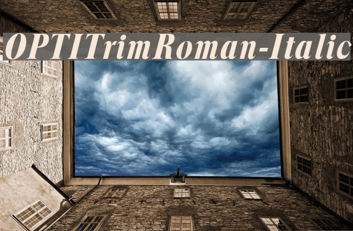 OPTITrimRoman-Italic Font examples