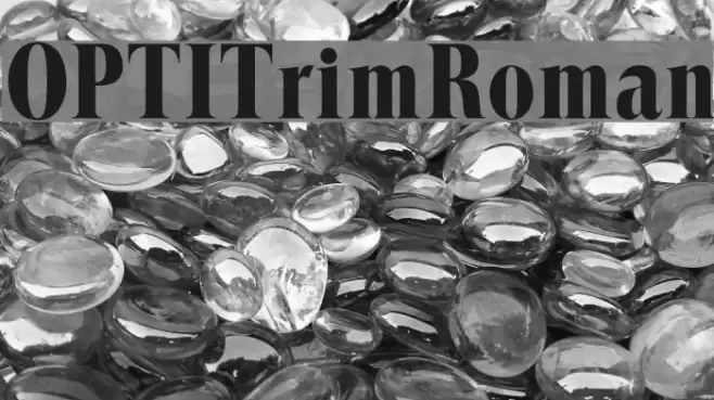 OPTITrimRoman Font examples