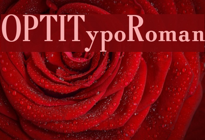 OPTITypoRoman Font examples