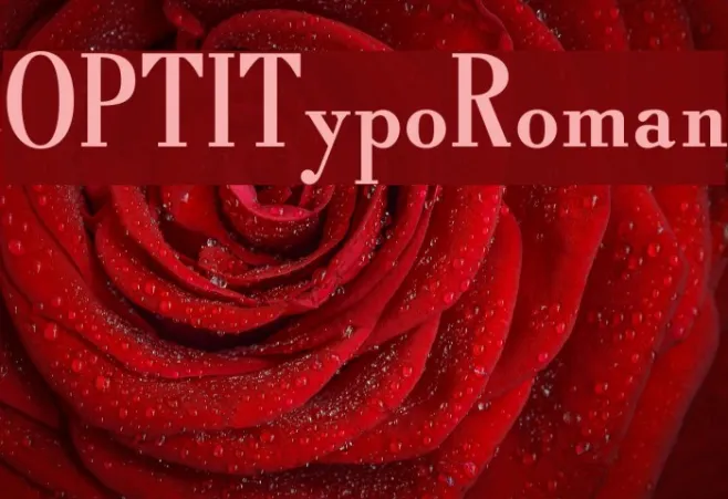 OPTITypoRoman Example 1
