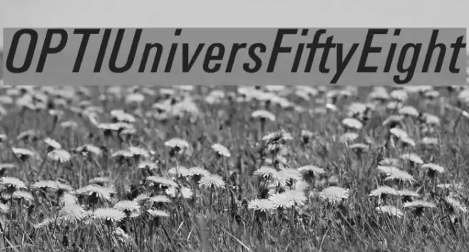 OPTIUniversFiftyEight Font examples