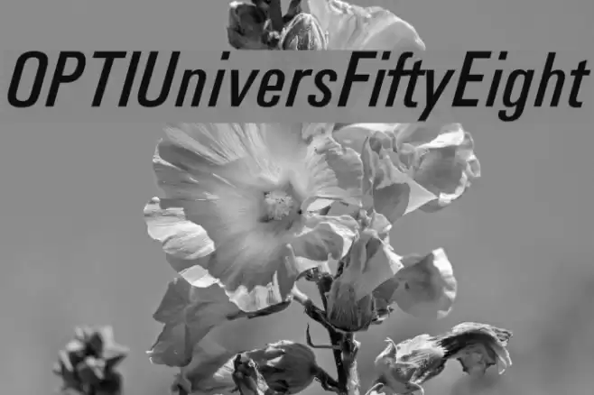 OPTIUniversFiftyEight Font examples