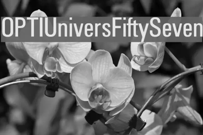 OPTIUniversFiftySeven Font examples
