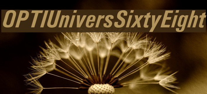 OPTIUniversSixtyEight Font examples