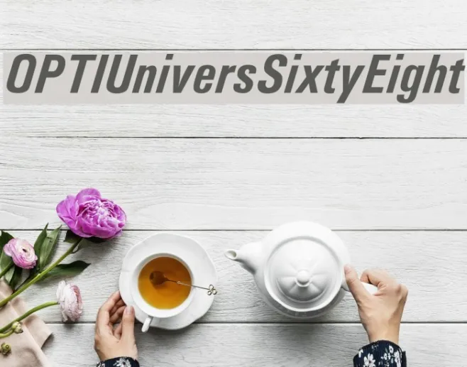 OPTIUniversSixtyEight Example 3