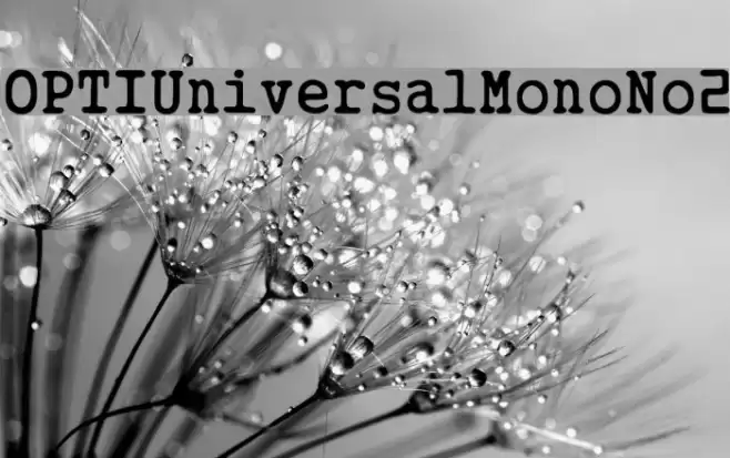OPTIUniversalMonoNo2 Font examples