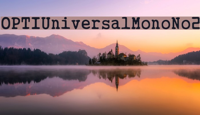 OPTIUniversalMonoNo2 Font examples
