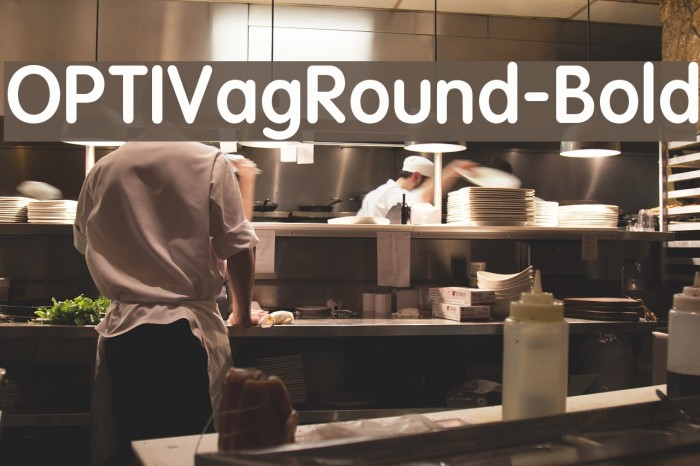 OPTIVagRound-Bold フォント examples