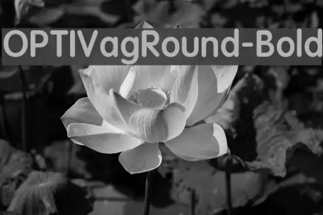 OPTIVagRound-Bold フォント examples