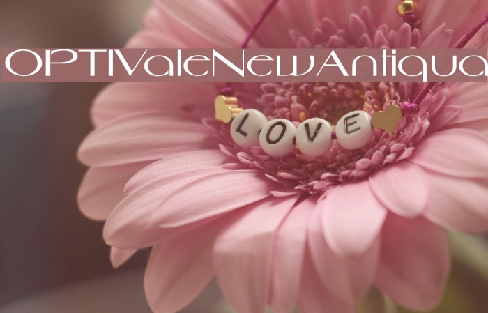 OPTIValeNewAntiqua Example 2