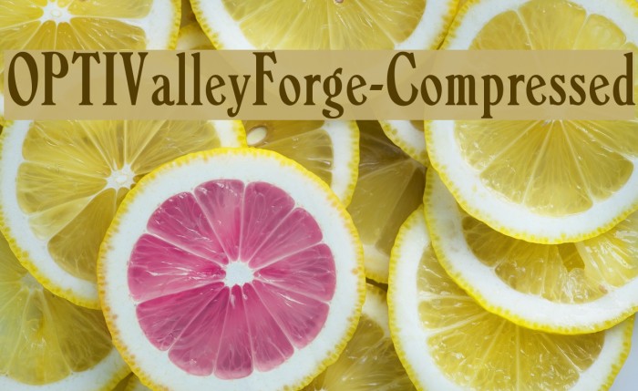 OPTIValleyForge-Compressed Font examples