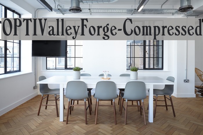OPTIValleyForge-Compressed Font examples