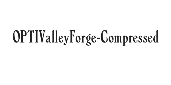 OPTIValleyForge-Compressed Logo