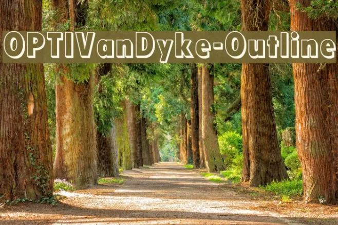OPTIVanDyke-Outline Example 3