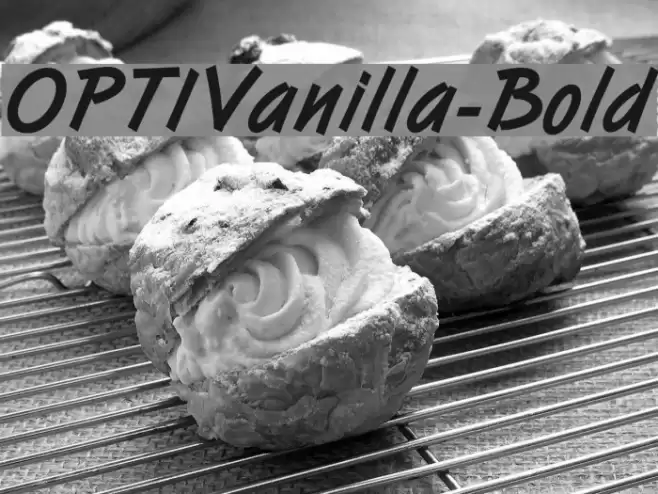 OPTIVanilla-Bold Font examples