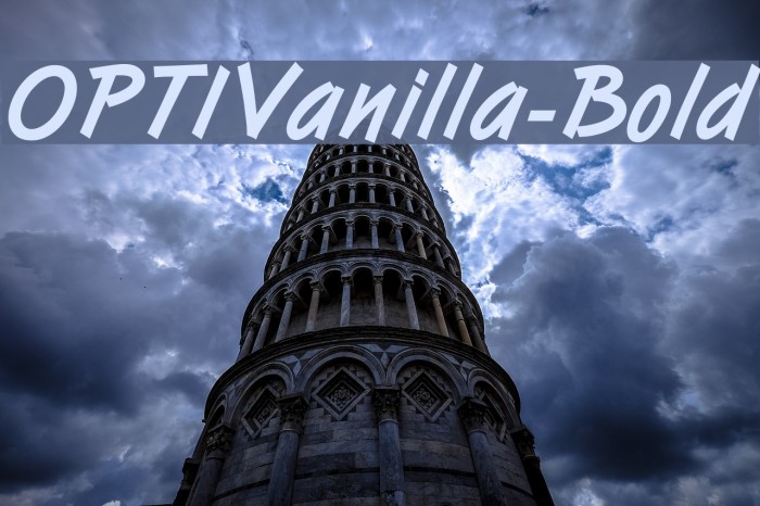 OPTIVanilla-Bold Example 2