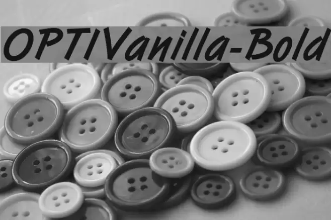 OPTIVanilla-Bold Font examples