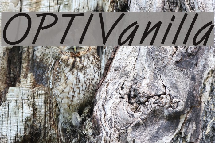 OPTIVanilla Font examples