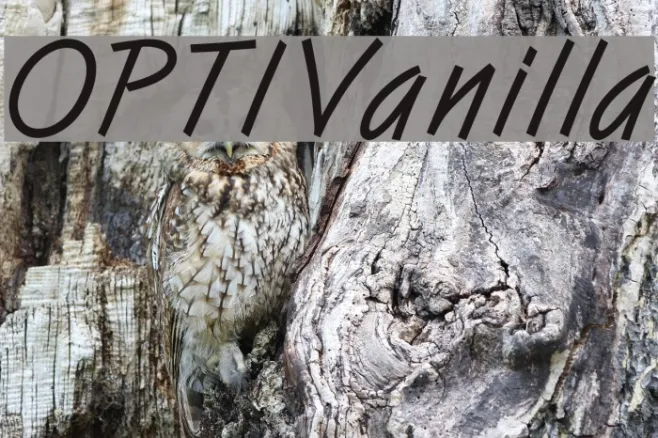 OPTIVanilla Example 1