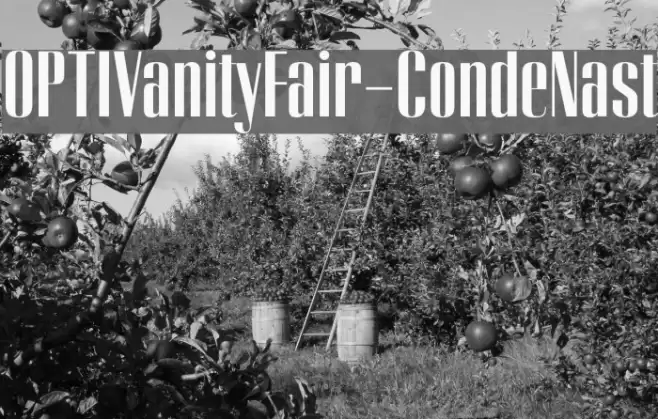 OPTIVanityFair-CondeNast Font examples