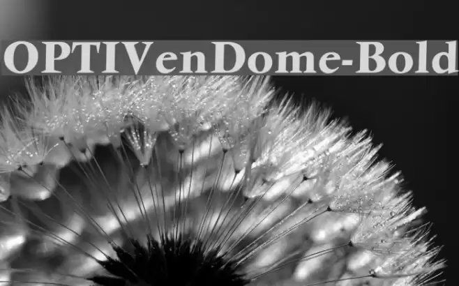 OPTIVenDome-Bold Font examples
