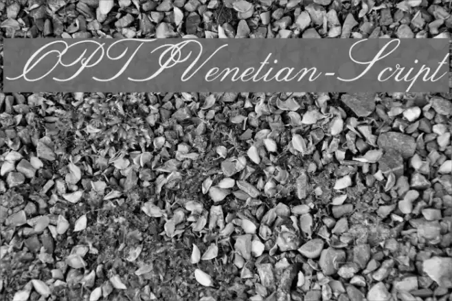 OPTIVenetian-Script Font examples
