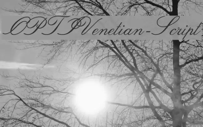 OPTIVenetian-Script Font examples