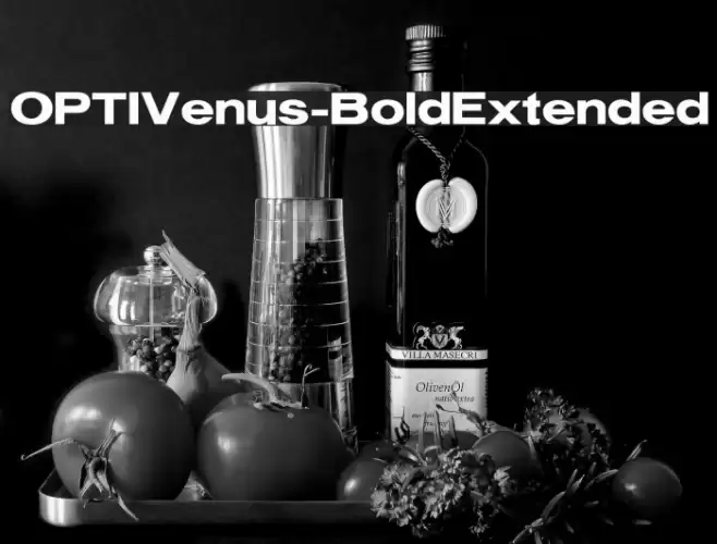 OPTIVenus-BoldExtended Font examples