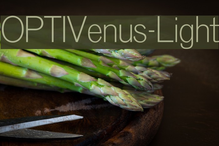 OPTIVenus-Light Font examples
