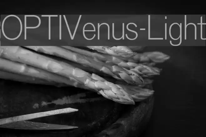 OPTIVenus-Light Font examples