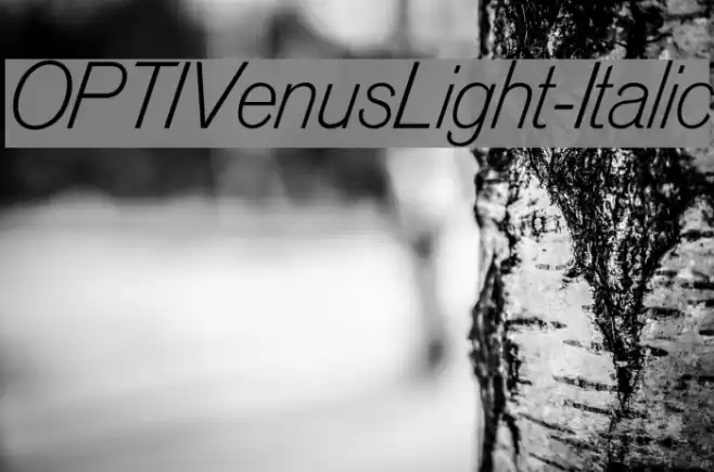 OPTIVenusLight-Italic Font examples