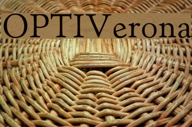 OPTIVerona Example 1