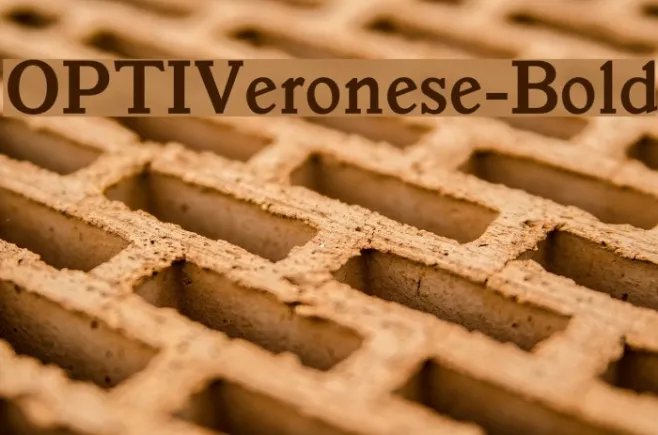 OPTIVeronese-Bold Example 1