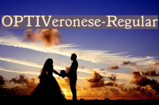 OPTIVeronese-Regular Example 2