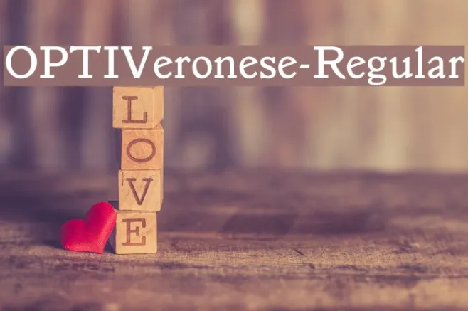 OPTIVeronese-Regular Example 3