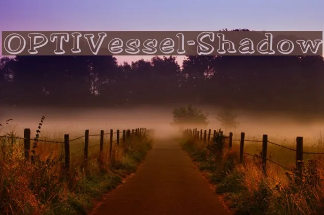 OPTIVessel-Shadow Example 2