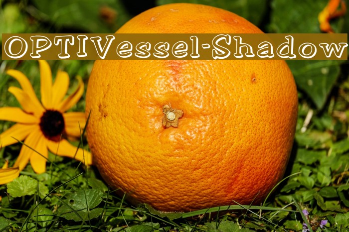 OPTIVessel-Shadow Font examples