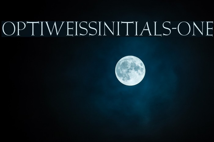 OPTIWeissInitials-One Example 3