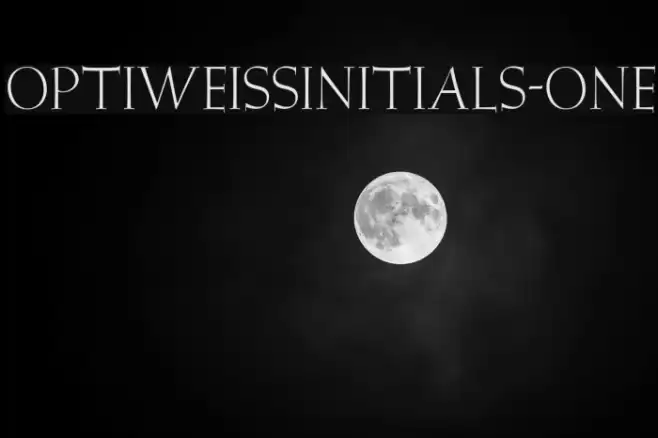 OPTIWeissInitials-One Font examples