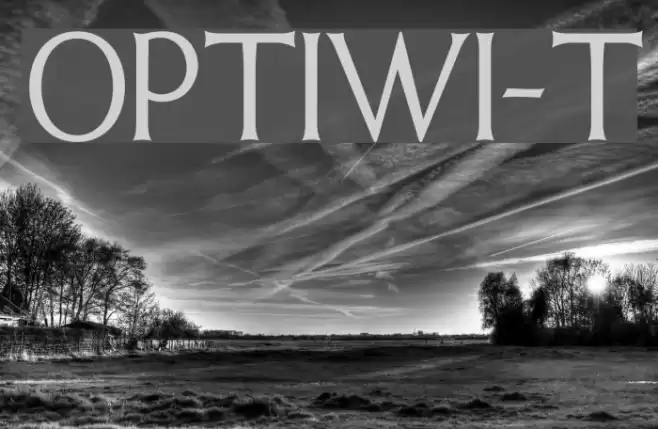 OPTIWeissInitials-Two Font examples