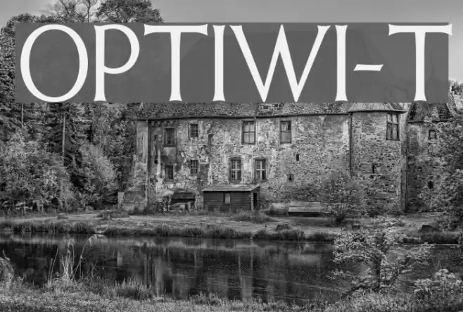 OPTIWeissInitials-Two Font examples