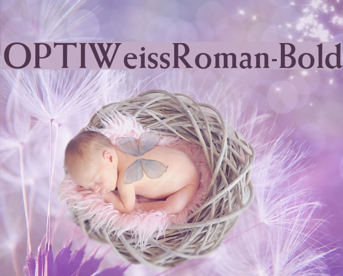 OPTIWeissRoman-Bold Font examples